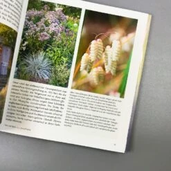 Gräser - Faszinierende Leichtigkeit (Borkowski, Hofmeister) -Angebote Pflanzen Store 13757 Graeser 20 20Faszinierende 20Leichtigkeit Borkowski 20Hofmeister 4