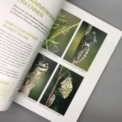 Mein Garten Summt! (Simone Kern) -Angebote Pflanzen Store 19935 Mein 20Garten 20summt Simone 20Kern 4