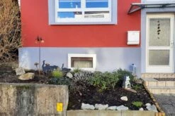 Leuchtfeuer (Farbpower Für Den Garten) -Angebote Pflanzen Store 2001000 Leuchtfeuer Farbpower 20fuer 20den 20Garten 4