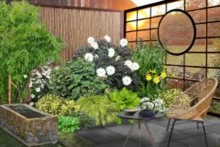 Fernöstlicher Traum (Ein Hauch Von Japan Im Eigenen Garten) -Angebote Pflanzen Store 2001632 Fernoestlicher 20Traum Ein 20Hauch 20von 20Japan 20im 20eigenen 20Garten 3