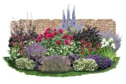 Beet In Feierlaune (Der Sommer Kann Kommen!)