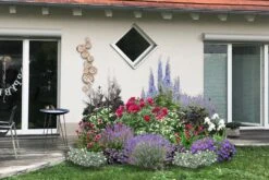 Beet In Feierlaune (Der Sommer Kann Kommen!) -Angebote Pflanzen Store 2001804 Beet 20in 20Feierlaune Der 20Sommer 20kann 20kommen 3