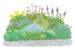 Licht Und Schatten (Schönes Für Dunkle Gartenecken)