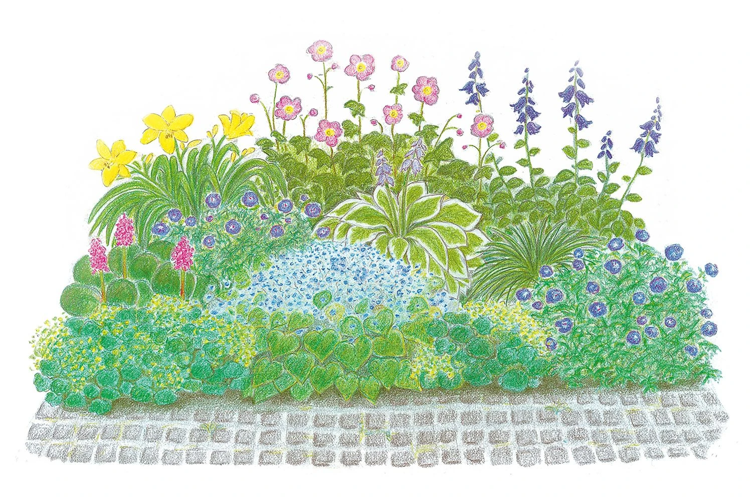 Licht Und Schatten (Schönes Für Dunkle Gartenecken) 3 Licht Und Schatten (Schönes Für Dunkle Gartenecken)