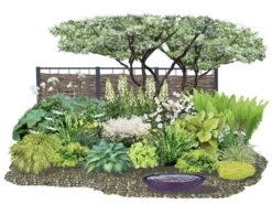 Crème Fraîche (Schönes Für Den Schatten)