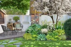 Crème Fraîche (Schönes Für Den Schatten) 24 Crème Fraîche (Schönes Für Den Schatten) -Angebote Pflanzen Store 2002104 Crme 20Frache Schoenes 20fuer 20den 20Schatten 3