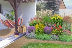 Alles Easy - Das Anfängerbeet (Gartenneulinge Aufgepasst!) -Angebote Pflanzen Store 2002440 Alles 20Easy 20 20Das 20Anfaengerbeet Gartenneulinge 20aufgepasst 3