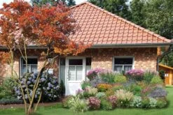 New German Style (Wundervolle Wildstaudenpracht) -Angebote Pflanzen Store 2002441 New 20German 20Style Wundervolle 20Wildstaudenpracht 3