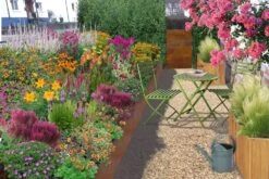 Summer Of Love (Belebende Flower Power Für Ihren Garten!)