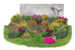 Summer Of Love (Belebende Flower Power Für Ihren Garten!) 32 Summer Of Love (Belebende Flower Power Für Ihren Garten!) -Angebote Pflanzen Store 2002767 Summer 20of 20Love Belebende 20Flower 20Power 20fuer 20Ihren 20Garten 11