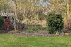 Lauschiger Lieblingsplatz (Hochsommerlicher Rückzugsort) -Angebote Pflanzen Store 2003181 Lauschiger 20Lieblingsplatz Hochsommerlicher 20Rueckzugsort 4