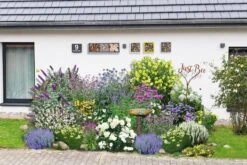 Buntes Bienenparadies (Nektarsegen Für Biene, Hummel, Schmetterling & Co.) -Angebote Pflanzen Store 2003234 Buntes 20Bienenparadies Nektarsegen 20fuer 20Biene 20Hummel 20Schmetterling 20 20Co 3