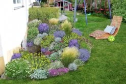 Das Hangbeet (Clevere Bepflanzung Für Schräge Flächen) -Angebote Pflanzen Store 2003344 Das 20Hangbeet Clevere 20Bepflanzung 20fuer 20schraege 20Flaechen 3