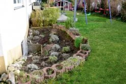 Das Hangbeet (Clevere Bepflanzung Für Schräge Flächen) -Angebote Pflanzen Store 2003344 Das 20Hangbeet Clevere 20Bepflanzung 20fuer 20schraege 20Flaechen 4