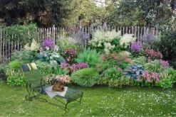 Charmantes Schattenbeet (Blüten-& Blattschmuck Für Lichtarme Gartenbereiche)