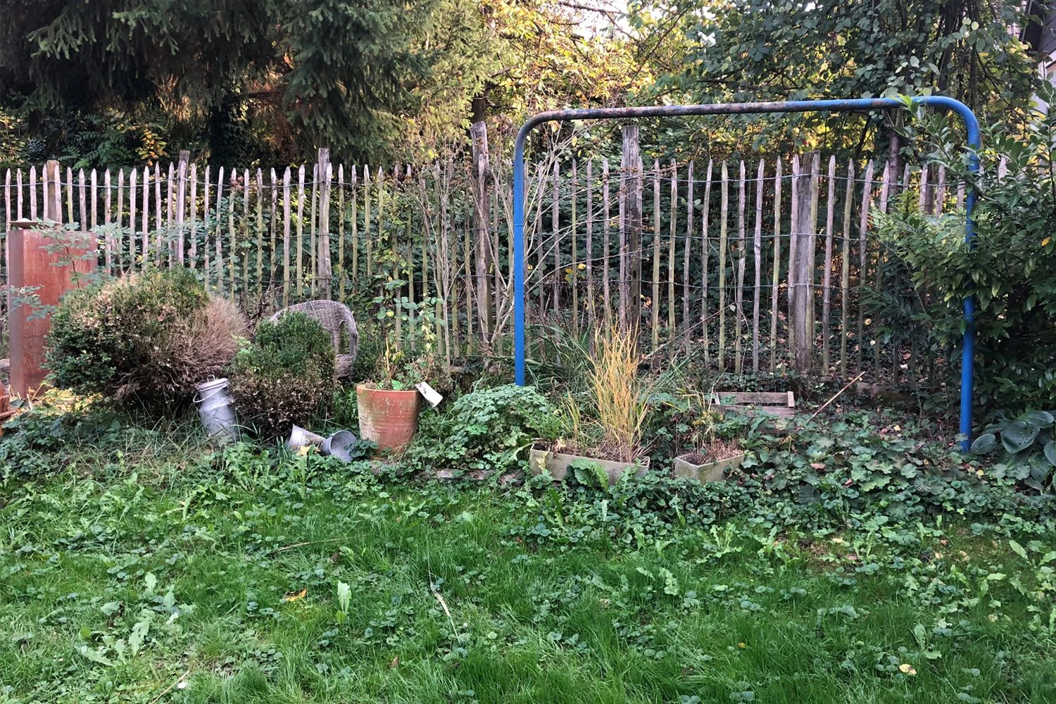 Charmantes Schattenbeet (Blüten-& Blattschmuck Für Lichtarme Gartenbereiche) 4 Charmantes Schattenbeet (Blüten-& Blattschmuck Für Lichtarme Gartenbereiche) – Bild 2