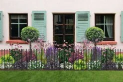 Das Streifenbeet (Blütenreicher Saum Für Wege, Mauern & Zäune) -Angebote Pflanzen Store 2003627 Das 20Streifenbeet Bluetenreicher 20Saum 20fuer 20Wege 20Mauern 20 20Zaeune 3