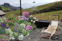 Der Berg Ruft (Maximale Blütenfreude Für Raue Gegenden) 24 Der Berg Ruft (Maximale Blütenfreude Für Raue Gegenden) -Angebote Pflanzen Store 2004415 Der 20Berg 20ruft Maximale 20Bluetenfreude 20fuer 20raue 20Gegenden 3