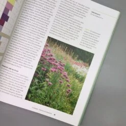 Einfach Schöne Beete (Christine Breier) -Angebote Pflanzen Store 20593 Einfach 20schoene 20Beete Christine 20Breier 4