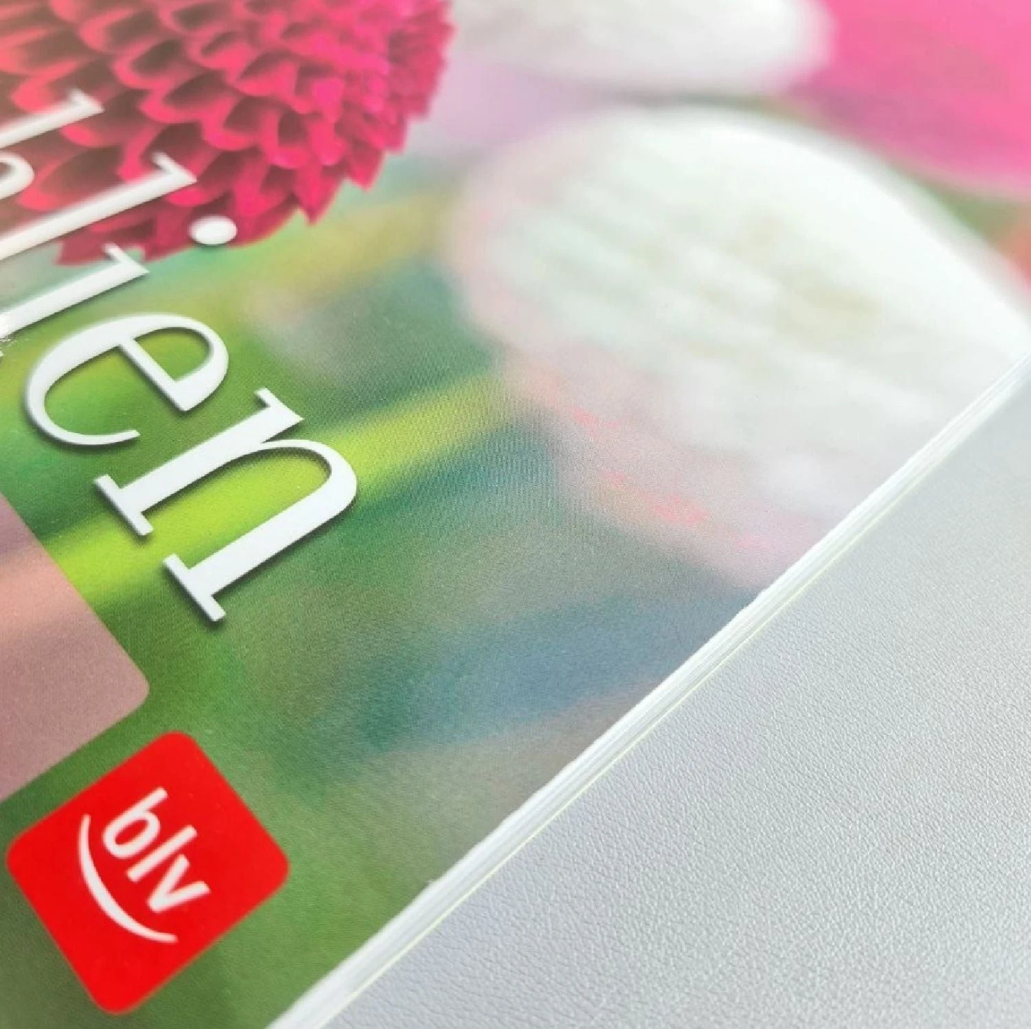 Dahlien (Bettina Verbeek) 4 Dahlien (Bettina Verbeek) – Bild 2