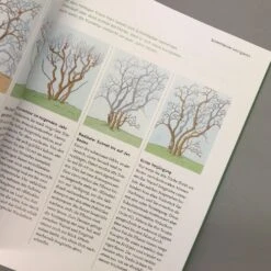 So Einfach Geht Pflanzenschnitt (Hansjörg Haas) -Angebote Pflanzen Store 22145 So 20einfach 20geht 20Pflanzenschnitt Hansjoerg 20Haas 6