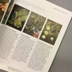 So Einfach Geht Pflanzenschnitt (Hansjörg Haas) -Angebote Pflanzen Store 22145 So 20einfach 20geht 20Pflanzenschnitt Hansjoerg 20Haas 7