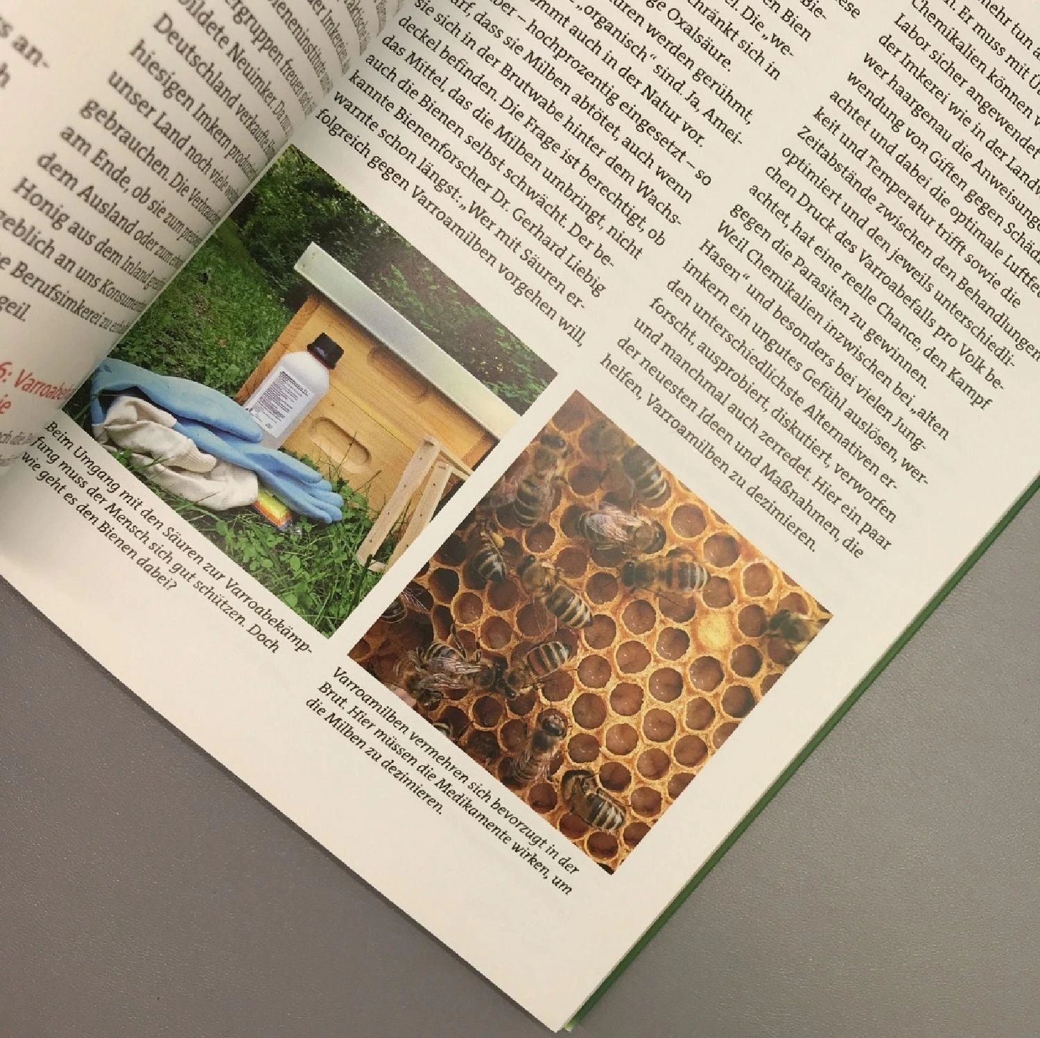 Wir Tun Was Für Die Bienen (Cornelis Hemmer) – Bild 9