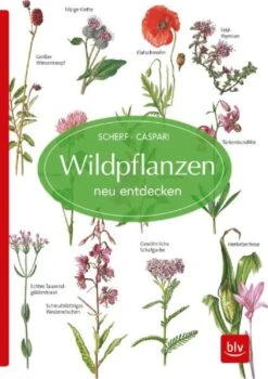 Wildpflanzen Neu Entdecken (Scherf & Caspari) 9 Wildpflanzen Neu Entdecken (Scherf & Caspari) -Angebote Pflanzen Store 23318 Wildpflanzen 20neu 20entdecken Scherf 20 20Caspari 1