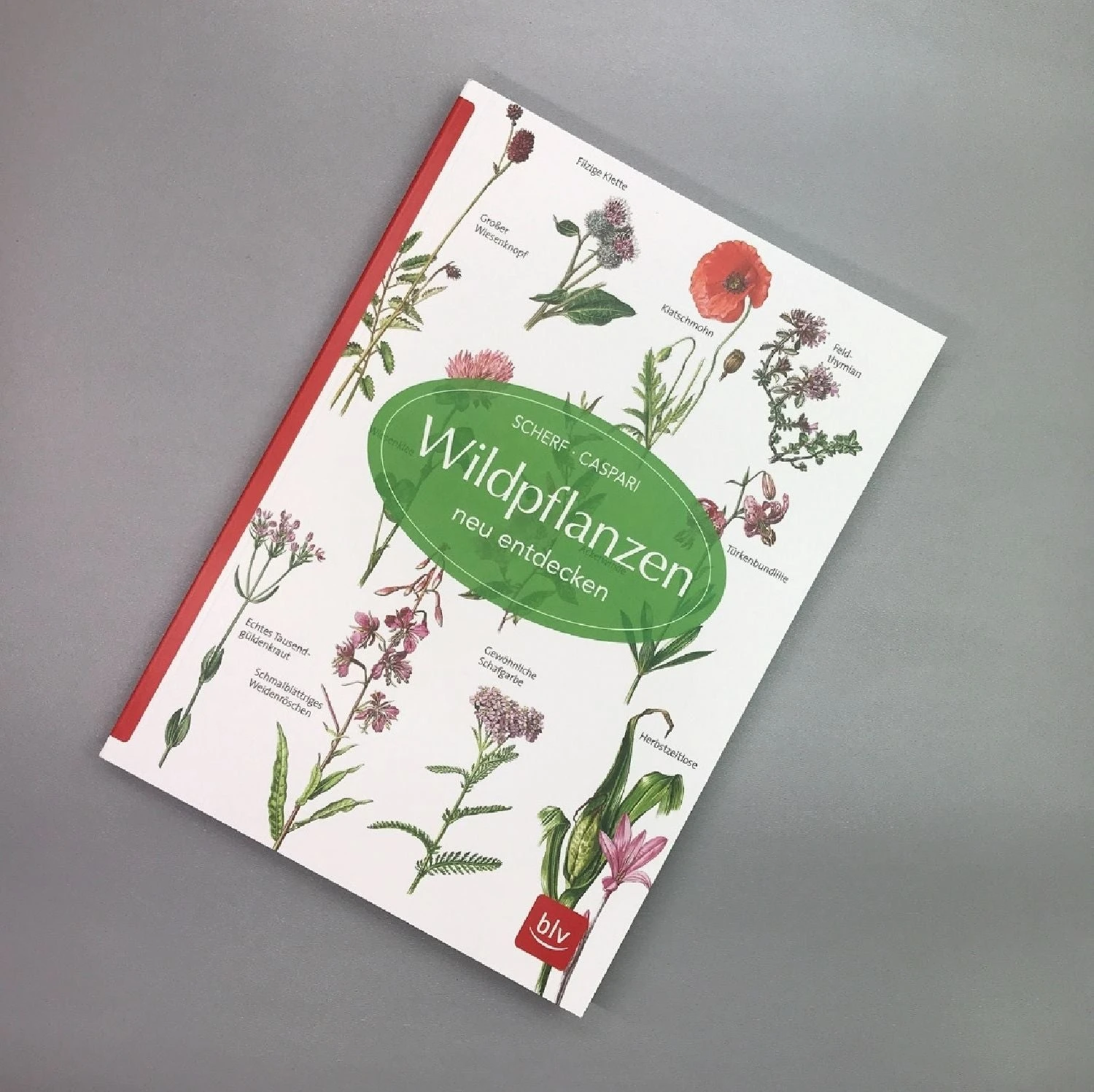 Wildpflanzen Neu Entdecken (Scherf & Caspari) 3 Wildpflanzen Neu Entdecken (Scherf & Caspari)