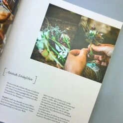 Flower Ladies (Karin Heimberger) -Angebote Pflanzen Store 24263 Flower 20Ladies Karin 20Heimberger 4 82b31453 6630 4f27 8873 eb4c2fac2e0a