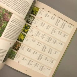 Und Es Wächst Doch! (Till Hofmann) -Angebote Pflanzen Store 24676 Und 20es 20waechst 20doch Till 20Hofmann 5