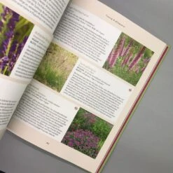 Und Es Wächst Doch! (Till Hofmann) -Angebote Pflanzen Store 24676 Und 20es 20waechst 20doch Till 20Hofmann 6