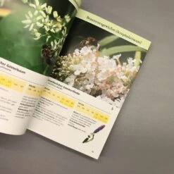 Bienenweide (Günter Pritsch) -Angebote Pflanzen Store 24710 Bienenweide Guenter 20Pritsch 4