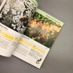 Bienenweide (Günter Pritsch) -Angebote Pflanzen Store 24710 Bienenweide Guenter 20Pritsch 5