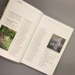 Bienenweide (Günter Pritsch) -Angebote Pflanzen Store 24710 Bienenweide Guenter 20Pritsch 6