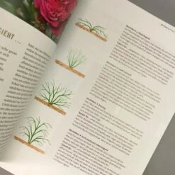 Das Große Ulmer Rosenbuch (Andreas Barlage) 10 Das Große Ulmer Rosenbuch (Andreas Barlage) -Angebote Pflanzen Store 24876 Das 20grosse 20Ulmer 20Rosenbuch Andreas 20Barlage 4