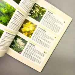 Kräuter - Es Geht Auch EINFACH! (Burkhard Bohne) -Angebote Pflanzen Store 25643 Kraeuter 20 20Es 20geht 20auch 20EINFACH Burkhard 20Bohne 4