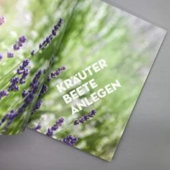 Kräuter - Es Geht Auch EINFACH! (Burkhard Bohne) -Angebote Pflanzen Store 25643 Kraeuter 20 20Es 20geht 20auch 20EINFACH Burkhard 20Bohne 5