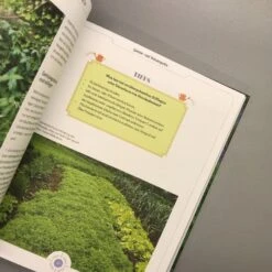 Viel Garten - Wenig Zeit (Brunhilde Bross) -Angebote Pflanzen Store 26029 Viel 20Garten 20 20Wenig 20Zeit Brunhilde 20Bross 6