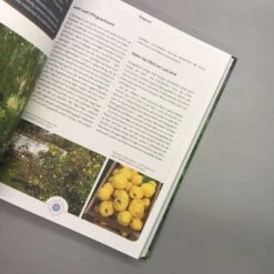 Viel Garten - Wenig Zeit (Brunhilde Bross) -Angebote Pflanzen Store 26029 Viel 20Garten 20 20Wenig 20Zeit Brunhilde 20Bross 7