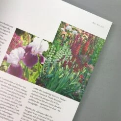 Ganzjährig Attraktive Beete (Ute Bauer) 10 Ganzjährig Attraktive Beete (Ute Bauer) -Angebote Pflanzen Store 26258 Ganzjaehrig 20attraktive 20Beete Ute 20Bauer 3