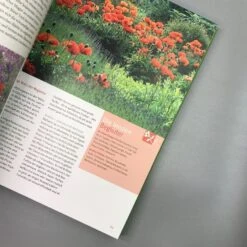 Ganzjährig Attraktive Beete (Ute Bauer) 11 Ganzjährig Attraktive Beete (Ute Bauer) -Angebote Pflanzen Store 26258 Ganzjaehrig 20attraktive 20Beete Ute 20Bauer 4