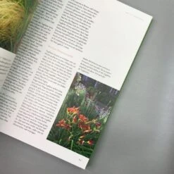 Ganzjährig Attraktive Beete (Ute Bauer) 12 Ganzjährig Attraktive Beete (Ute Bauer) -Angebote Pflanzen Store 26258 Ganzjaehrig 20attraktive 20Beete Ute 20Bauer 5