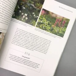 Mein Summendes Paradies (Cynthia Nagel) -Angebote Pflanzen Store 26260 Mein 20summendes 20Paradies Cynthia 20Nagel 5