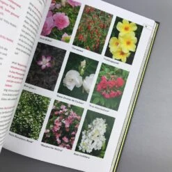 Hier Wächst Nichts (Jörg Pfennigschmidt & Jonas Reif) -Angebote Pflanzen Store 26695 Hier 20waechst 20nichts Joerg 20Pfennigschmidt 20 20Jonas 20Reif 5