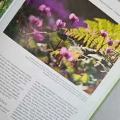 Blütenreich (Katrin Lugerbauer) -Angebote Pflanzen Store 27346 Bluetenreich Katrin 20Lugerbauer 3