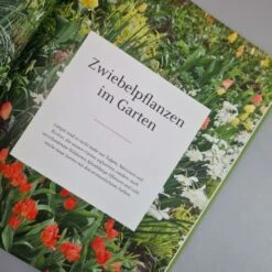 Blütenreich (Katrin Lugerbauer) -Angebote Pflanzen Store 27346 Bluetenreich Katrin 20Lugerbauer 4