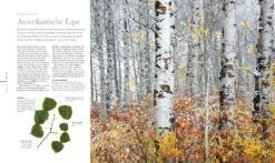 Flora (Wunderwelt Der Pflanzen) -Angebote Pflanzen Store 27612 Flora Wunderwelt 20der 20Pflanzen 3