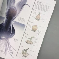 Flora (Wunderwelt Der Pflanzen) -Angebote Pflanzen Store 27612 Flora Wunderwelt 20der 20Pflanzen 6