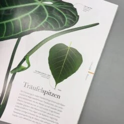 Flora (Wunderwelt Der Pflanzen) -Angebote Pflanzen Store 27612 Flora Wunderwelt 20der 20Pflanzen 7